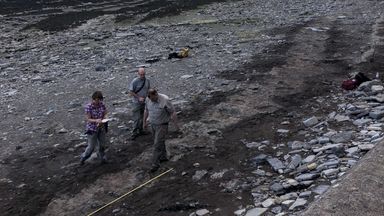 Paleontolodzy uważają, że ślady stóp najprawdopodobniej pozostawił bardzo wczesny zauropod lub prozauropod